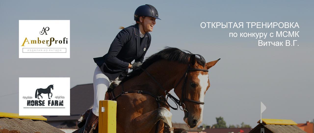 Компания Амберпрофи развивает спорт в Кадининградской области